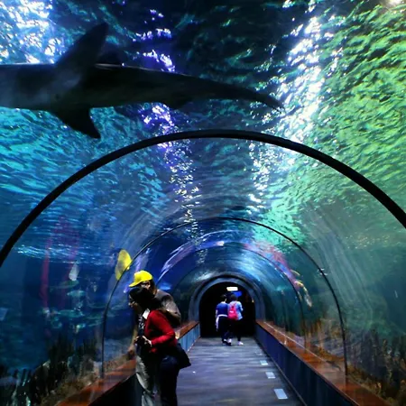 Apartment Lovely El Duque *