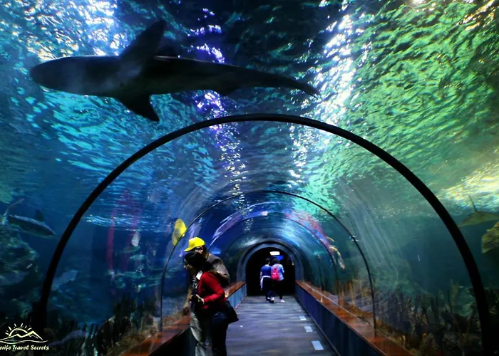 Daire Lovely El Duque *